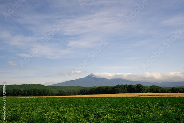 Obraz 田園と山脈