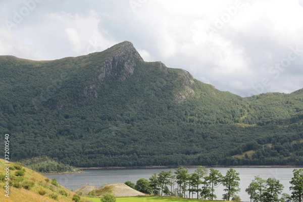 Obraz Berg und Wald in Norwegen
