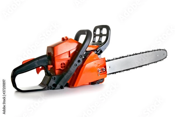 Obraz chainsaw