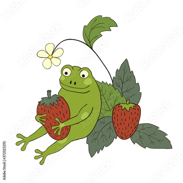 Obraz Frog with berries Vector animal isolated on white 