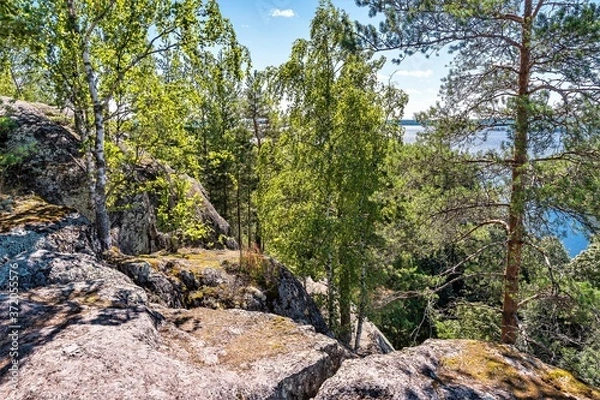 Fototapeta Russia, Lake Ladoga, August 2020. Trees among stones on top of a cliff overlooking the lake.