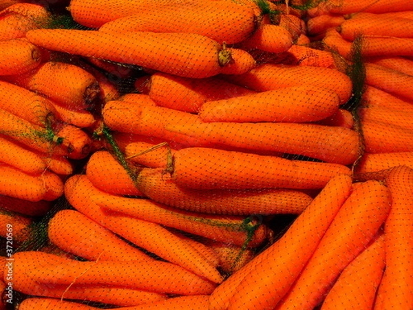Obraz Verpackte Möhren