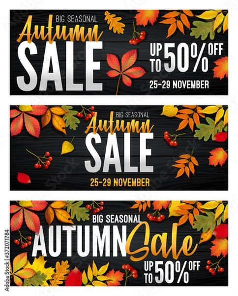 Fototapeta Advertising banners set - Autumn Sale at the end of season with bright fall leaves. Invitation for shopping with 50 percent off. Trendy style, black wood background. Vector illustration.