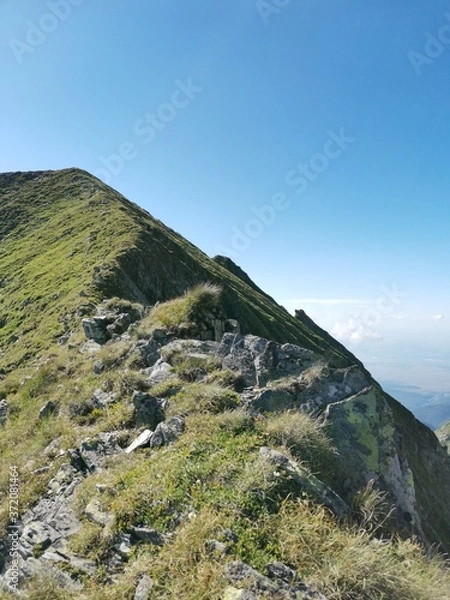 Obraz road to the mountains