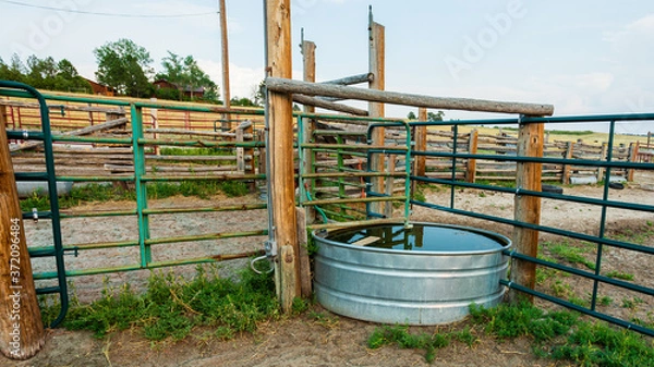 Obraz Stock tank and metal fence panels and wooden fencing in the animal corral on a working ranch near Denver