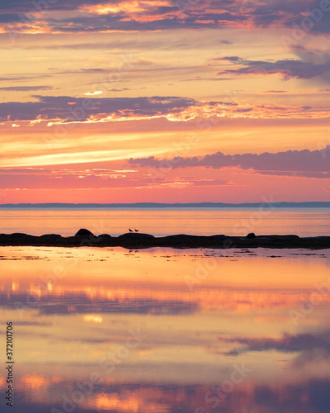 Fototapeta Colorful pastel sunset with two seagulls on island
