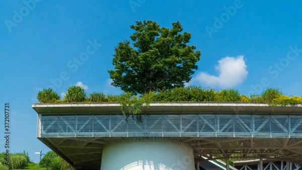 Fototapeta 屋上庭園と屋上緑化
