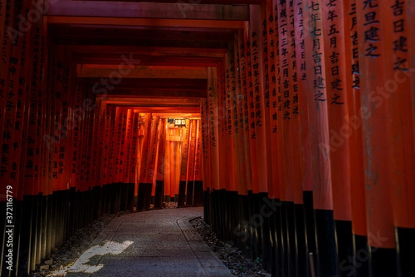 Obraz 千本鳥居01