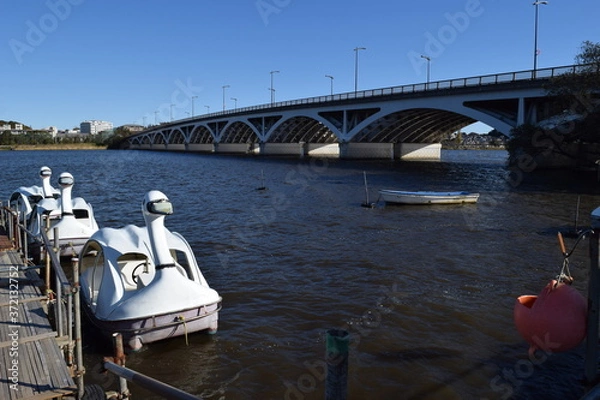 Obraz 手賀沼（てがぬま）／ 千葉県にある手賀沼は、県北部、柏市、我孫子市、白井市、印西市にまたがる利根川水系の湖沼です。北の水域を手賀沼（上沼）、南の水域を下手賀沼（下沼）と言われています。