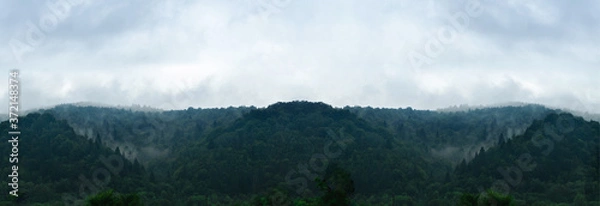 Obraz Panoramic view of wooded mountains, hills and forest. Dramatic wall green tree forest in fog and blue sky with low gray clouds for creative background. Back to nature concept, banner, copy space.