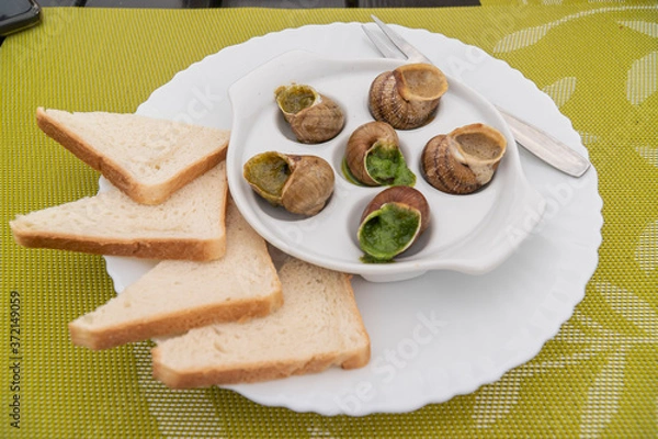 Obraz Escargots with sauce on white plate