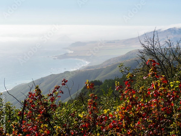 Obraz OLYMPUS DIGITAL CAMERA