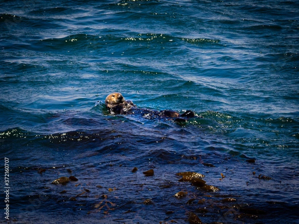 Obraz OLYMPUS DIGITAL CAMERA