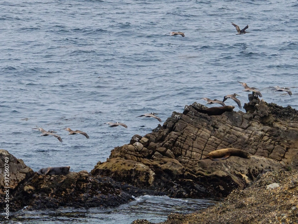 Obraz OLYMPUS DIGITAL CAMERA