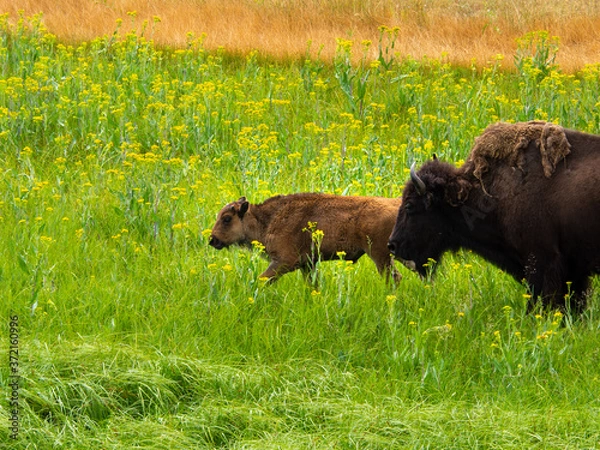 Obraz OLYMPUS DIGITAL CAMERA