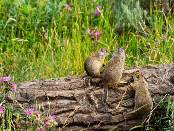 Obraz OLYMPUS DIGITAL CAMERA