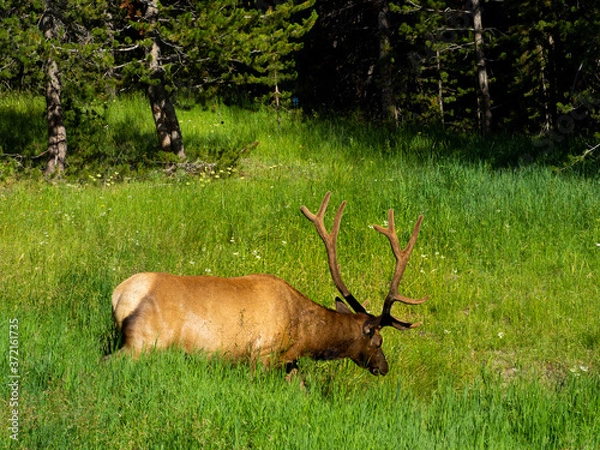 Obraz OLYMPUS DIGITAL CAMERA