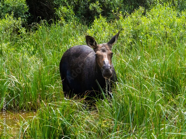 Obraz OLYMPUS DIGITAL CAMERA