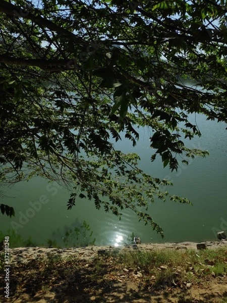 Fototapeta reflection in water