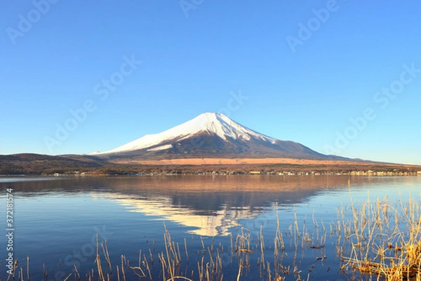 Fototapeta 富士　富士山　山梨県山中湖付近の風景