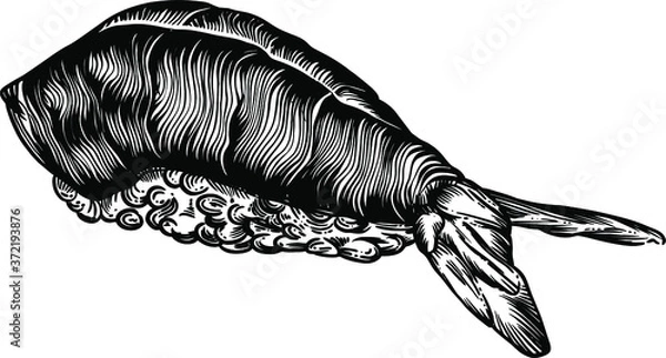 Obraz Vector Illustration of rolls, sushi and seafood in the sketch style. Detailed drawing of images with a line in black and white. For menus, banners, icons, stickers, and any other directions. Seamless 