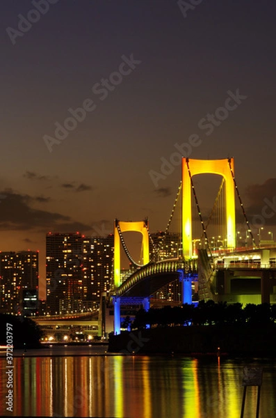 Obraz レインボーブリッジの夜景