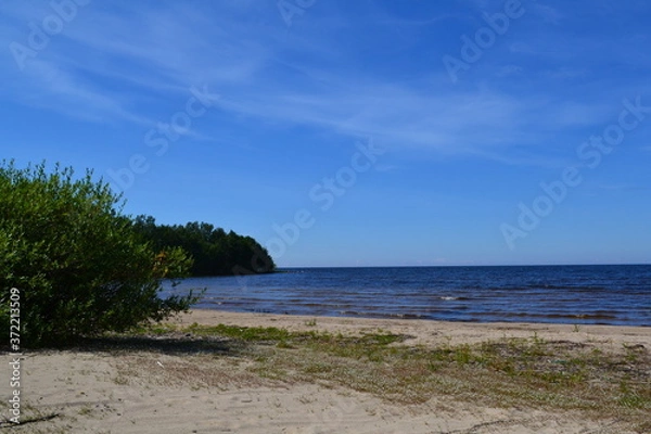 Obraz sandy shore of the Northern lake on a Sunny day