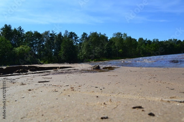 Obraz sandy shore of the Northern lake on a Sunny day