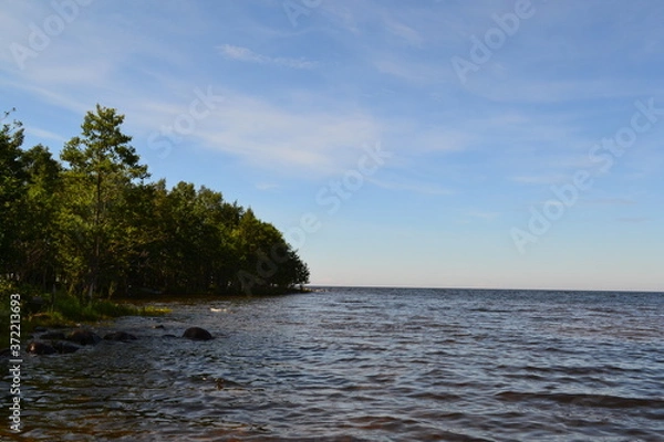 Obraz sandy shore of the Northern lake on a Sunny day