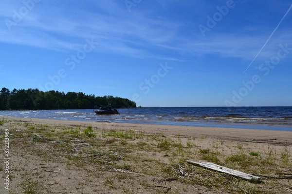 Obraz sandy shore of the Northern lake on a Sunny day