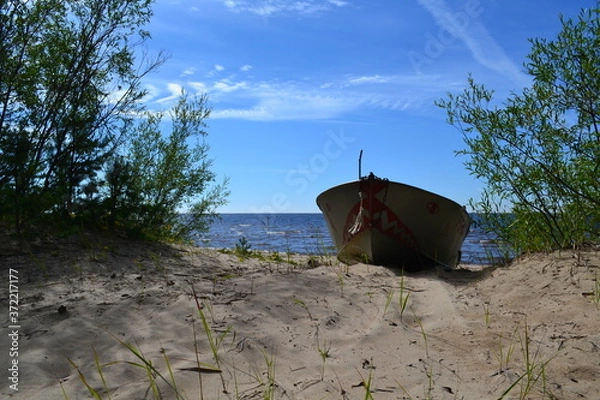 Obraz an old boat on the sandy shore of the lake on a summer day