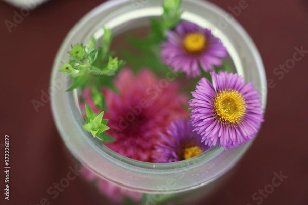Fototapeta Blumen in großer Wase