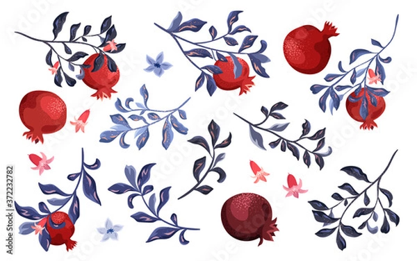 Fototapeta Decorative composition and frame with pomegranate on a white background. Plant elements set.