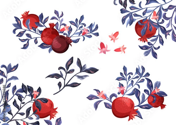 Fototapeta Decorative composition and frame with pomegranate on a white background. Plant elements set.