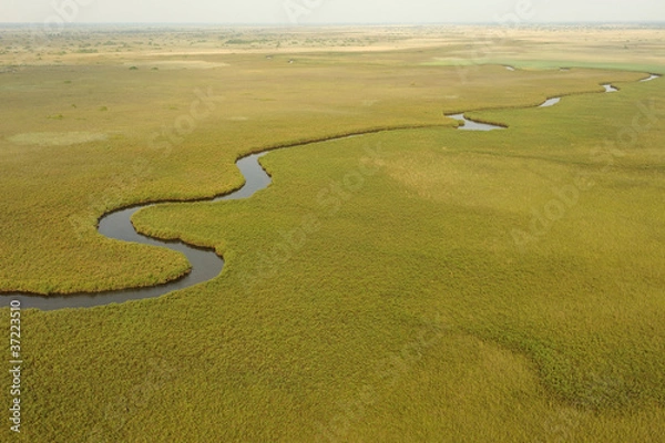 Obraz Delta z Okavango, Botswana