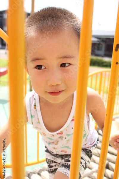 Obraz 公園のアスレチック遊具で遊ぶ日本の男の子（三才児）