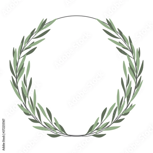 Obraz Olive wreath vector. Green hand drawing round frame. Olive branches background. 