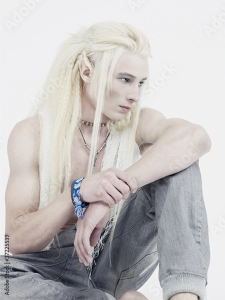 Fototapeta Handsome elf