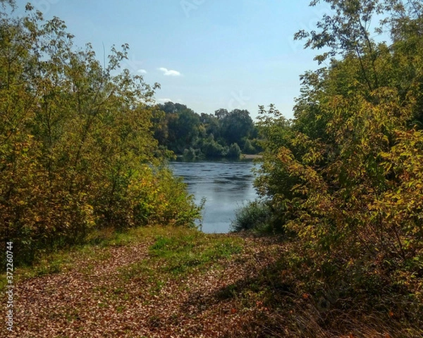 Obraz river in autumn