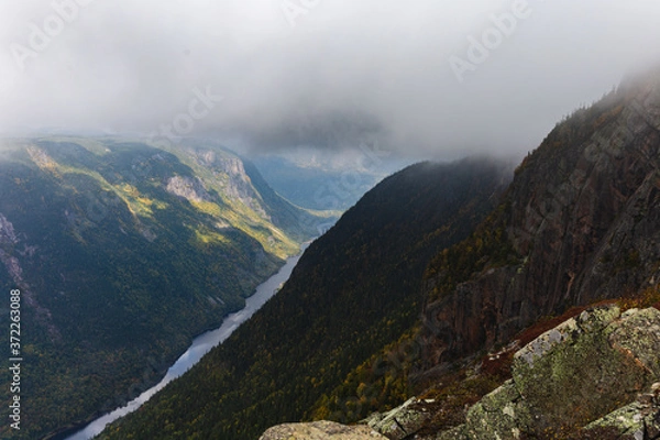 Obraz fog in the mountains in summer with a view down the valley