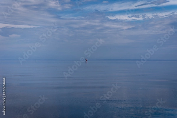 Fototapeta same tones of blue water and sky with no visible shore