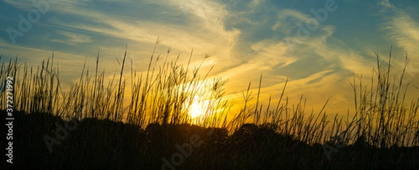 Obraz Big Bluestem Native Prairie Grasses Sunset