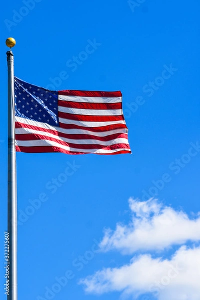 Obraz stars and stripes