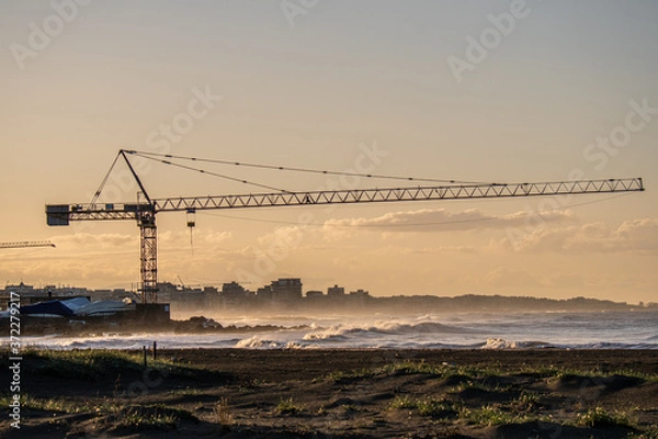 Obraz Crane on the beach
