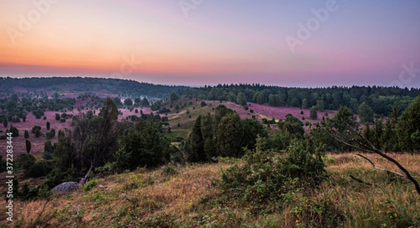 Fototapeta Heidelandschaft