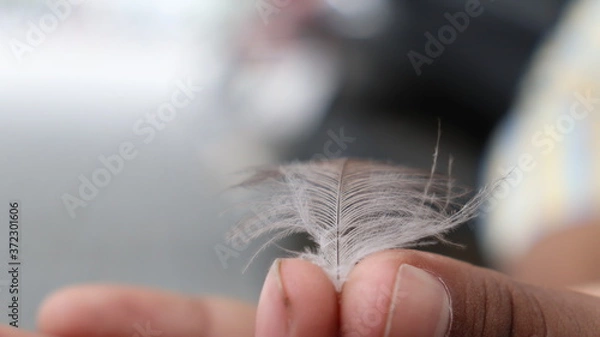 Obraz hand holding a small bird