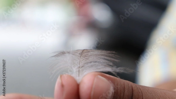 Obraz hand with a feather