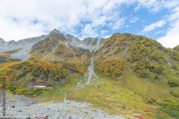 Obraz 最高の紅葉