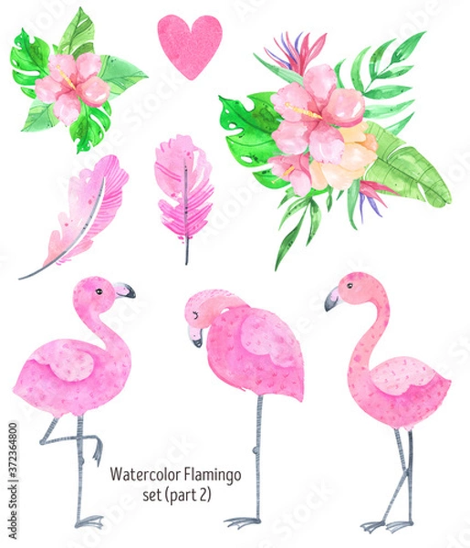 Fototapeta Flamingo watercolor tropical pink flamingo clipart and exotic bird with palm leaves, monstera illustration
