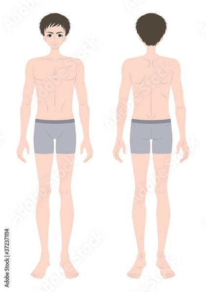 Fototapeta 男性　全身　インナー着用